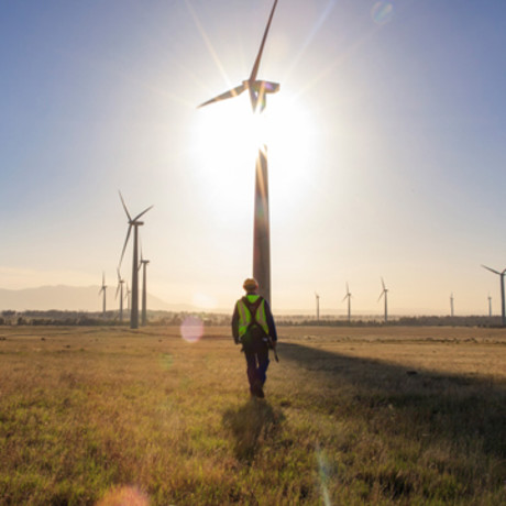 Man wearing a hard hat and high-vis vest walking towards wind turbines in a field