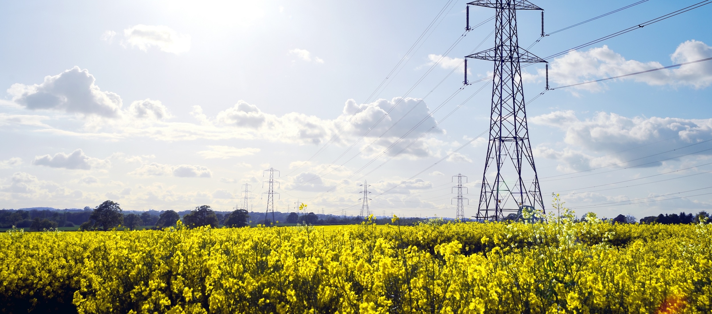 Pylon tower field