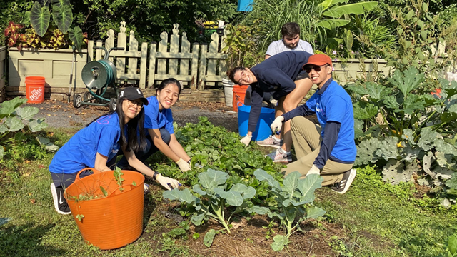 Group of National Grid volunteers cleaning up a community plant bed