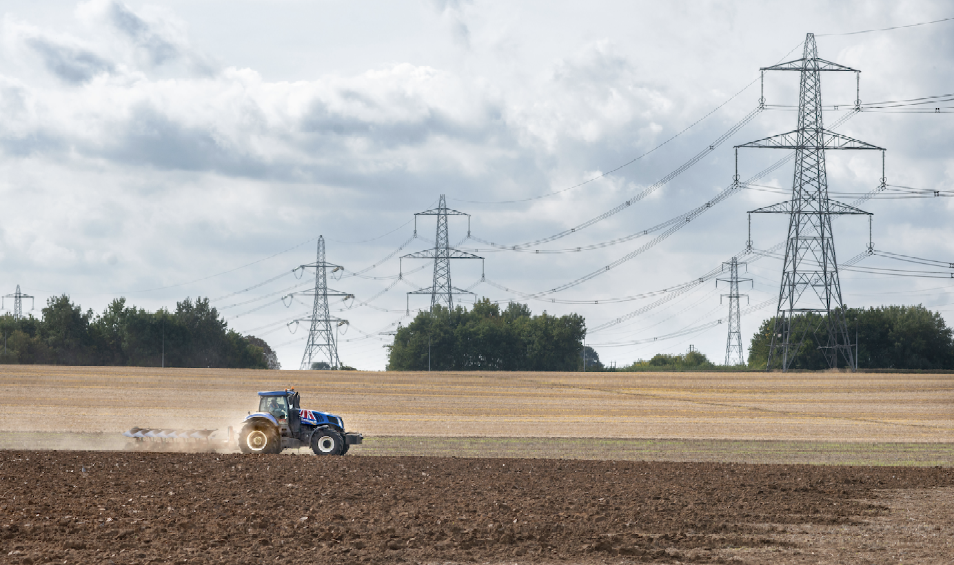 Field with pylons